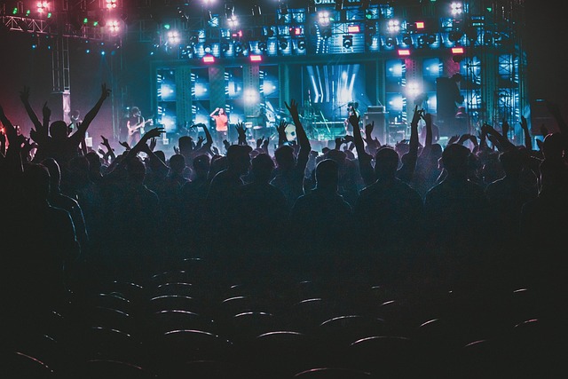 concert-4768496_640